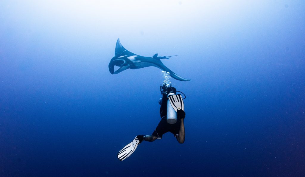 Pelagic scuba diving in Fuvahmulah